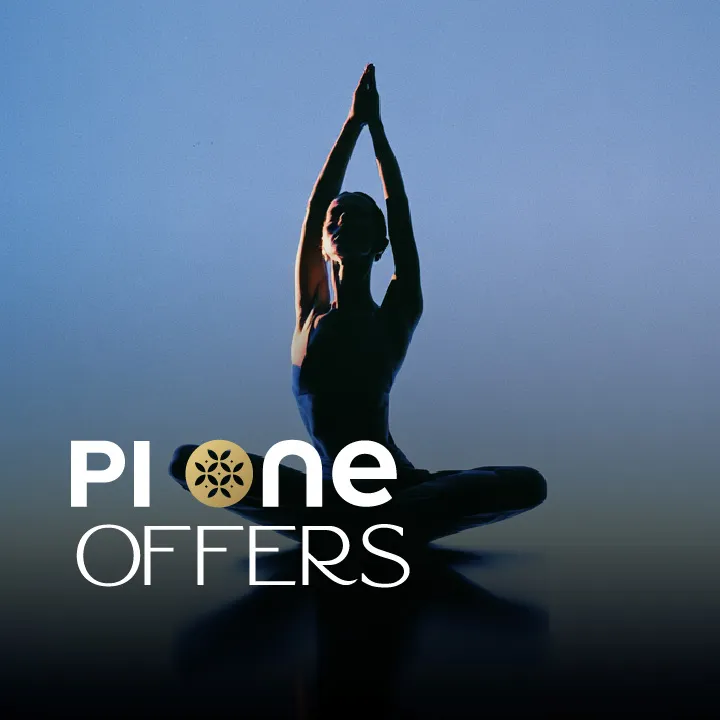 PI ONE Offers